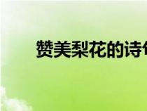 贊美梨花的詩句?（贊美梨花的詩句）