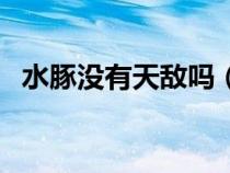 水豚沒有天敵嗎（為什么水豚沒什么天敵）