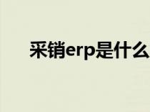 采銷erp是什么意思（erp是什么意思）