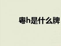 粵h是什么牌（粵H是什么地方的）