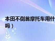 本田不倒翁摩托車用什么駕駛證(本田不倒翁摩托車能上牌嗎) 本田不倒翁摩托車用什么駕駛證(本田不倒翁摩托車能上牌嗎)