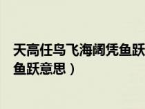 天高任鳥飛海闊憑魚躍意思相近的句子（天高任鳥飛海闊憑魚躍意思）