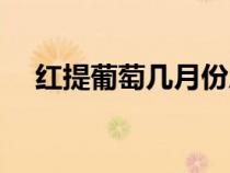 紅提葡萄幾月份成熟（葡萄幾月份成熟）