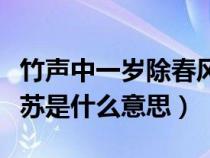 竹聲中一歲除春風(fēng)送暖入屠蘇是什么意思（屠蘇是什么意思）