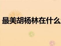 最美胡楊林在什么地方（胡楊林在什么地方）
