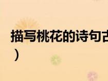 描寫桃花的詩句古詩三年級（描寫桃花的詩句）