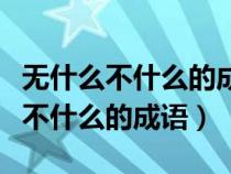 無什么不什么的成語四字詞語有哪些（無什么不什么的成語）