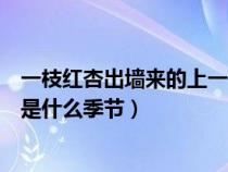 一枝紅杏出墻來的上一句詩是什么（一枝紅杏出墻來的全詩是什么季節(jié)）