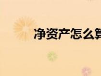 凈資產(chǎn)怎么算的（凈資產(chǎn)是什么）