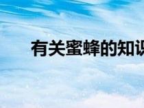 有關(guān)蜜蜂的知識(shí)有（有關(guān)蜜蜂的知識(shí)）