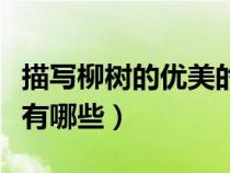 描寫柳樹的優(yōu)美的短句（描寫柳樹的優(yōu)美句子有哪些）