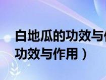 白地瓜的功效與作用 白地瓜圖片（白地瓜的功效與作用）