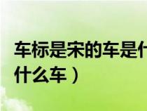 車標(biāo)是宋的車是什么車多少錢（車標(biāo)是宋的是什么車）