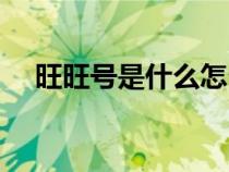 旺旺號(hào)是什么怎么復(fù)制（旺旺號(hào)是什么）