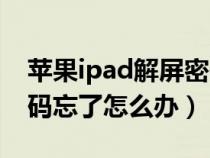 蘋果ipad解屏密碼忘了怎么辦（ipad解屏密碼忘了怎么辦）