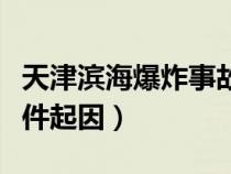 天津濱海爆炸事故處理結(jié)果(天津濱海爆炸事件起因) 天津濱海爆炸事故處理結(jié)果(天津濱海爆炸事件起因)