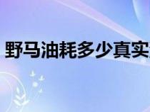 野馬油耗多少真實(shí)油耗（野馬油耗多少油耗）