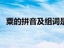 粟的拼音及組詞是什么（粟的拼音及組詞）