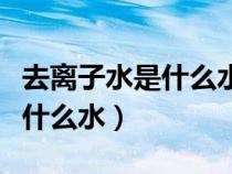 去離子水是什么水的離子是什么（去離子水是什么水）