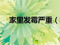 家里發(fā)霉嚴(yán)重（家里發(fā)霉對身體有害嗎）