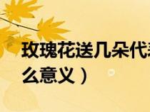 玫瑰花送幾朵代表什么(玫瑰花11朵代表什么意義) 玫瑰花送幾朵代表什么(玫瑰花11朵代表什么意義)