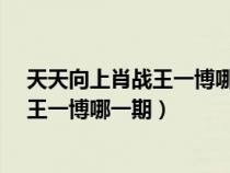 天天向上肖戰(zhàn)王一博哪一期_視頻在線觀看（天天向上肖戰(zhàn)王一博哪一期）