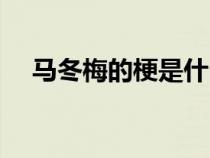 馬冬梅的梗是什么意思（馬冬梅什么梗）