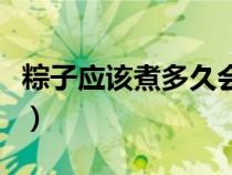 粽子應(yīng)該煮多久會熟（粽子一般要煮多久才熟）