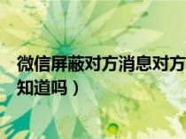 微信屏蔽對(duì)方消息對(duì)方知道嗎圖片(微信屏蔽對(duì)方消息對(duì)方知道嗎) 微信屏蔽對(duì)方消息對(duì)方知道嗎圖片(微信屏蔽對(duì)方消息對(duì)方知道嗎)