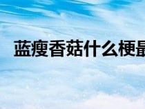 藍瘦香菇什么梗最好吃（藍瘦香菇什么梗）