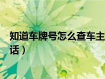 知道車牌號怎么查車主電話姓名（知道車牌號怎么查車主電話）