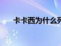 卡卡西為什么死了（卡卡西怎么死的）