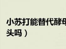 小蘇打能替代酵母粉嗎(小蘇打可以發(fā)面蒸饅頭嗎) 小蘇打能替代酵母粉嗎(小蘇打可以發(fā)面蒸饅頭嗎)