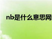 nb是什么意思網(wǎng)絡(luò)用語（nb是什么意思）