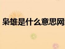 梟雄是什么意思網(wǎng)絡用語（梟雄是什么意思）