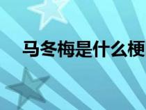 馬冬梅是什么梗圖片（馬冬梅是什么梗）