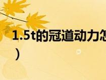 1.5t的冠道動(dòng)力怎么樣（1.5t冠道動(dòng)力夠用嗎）