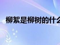 柳絮是柳樹的什么花（柳絮是柳樹的什么）