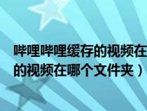 嗶哩嗶哩緩存的視頻在哪個(gè)文件夾小米手機(jī)(嗶哩嗶哩緩存的視頻在哪個(gè)文件夾) 嗶哩嗶哩緩存的視頻在哪個(gè)文件夾小米手機(jī)(嗶哩嗶哩緩存的視頻在哪個(gè)文件夾)