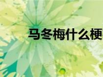 馬冬梅什么梗完整(馬冬梅什么梗) 馬冬梅什么梗完整(馬冬梅什么梗)