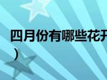 四月份有哪些花開花（四月份的花有哪些能開）