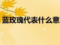 藍(lán)玫瑰代表什么意思（紅玫瑰代表什么意思）