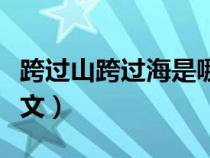 跨過山跨過海是哪首歌（跨過山的大海歌詞全文）