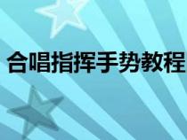 合唱指揮手勢教程圖片（合唱指揮手勢教程）