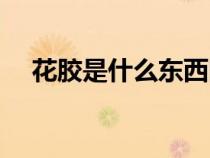 花膠是什么東西圖片（花膠是什么東西）