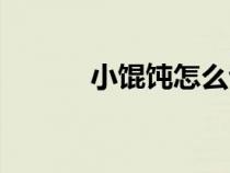 小餛飩怎么包（包餛飩怎么包）