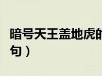 暗號天王蓋地虎的下一句（天王蓋地虎的下一句）