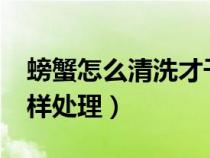 螃蟹怎么清洗才干凈?（螃蟹怎樣清洗干凈怎樣處理）