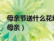 母親節(jié)送什么花給母親?（母親節(jié)送什么花給母親）