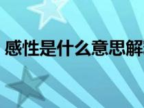 感性是什么意思解釋一下（感性是什么意思）